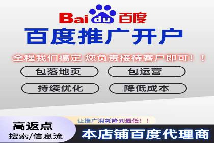 百度移动端应用推广策略探讨